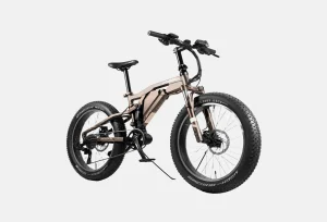 Aliquam Sodales - Beige