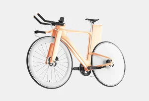 Sagittis Purus - Orange