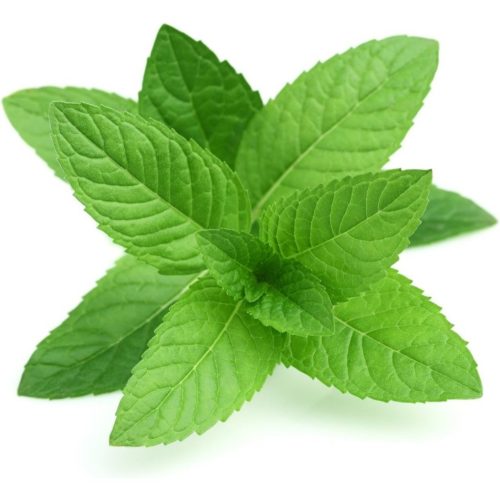 Testing Chinese Word Product RED你好啊我不好 and sugar-%e6%9c%89%e7%b3%96