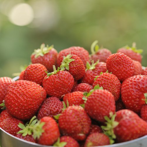 Colgate Toothbrush Easy Comfort Charcoal