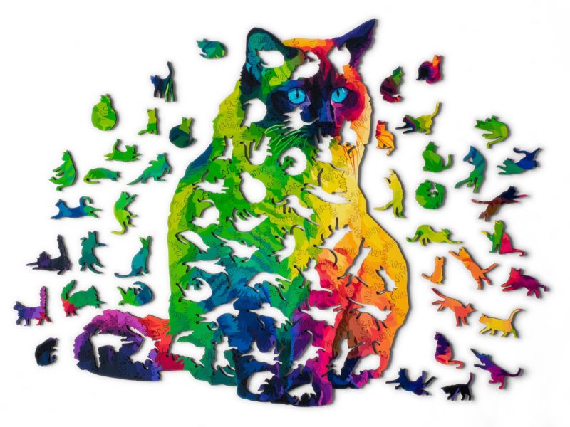 Cat puzzle