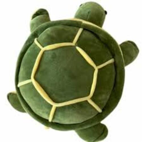 Turtle Toy
