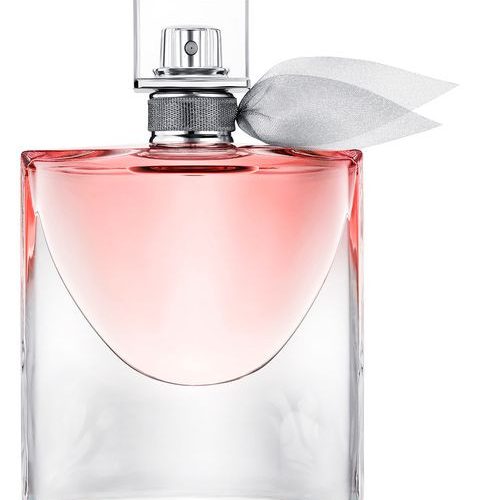 Teddy Bear - testing item