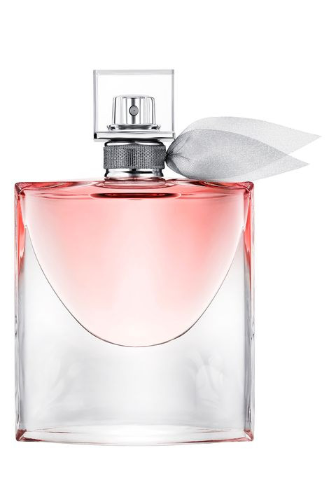 Teddy Bear - testing item