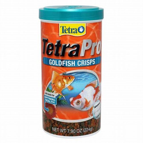 Best fish food