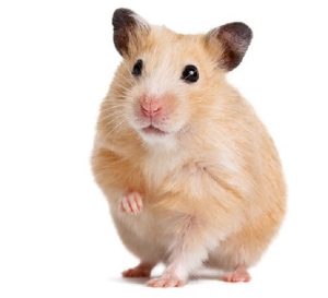 Product name 123 - Testing Product for RX, KM