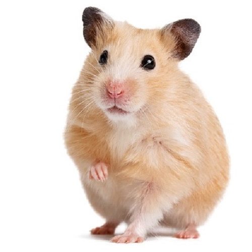 Product name 123 - Testing Product for RX, KM