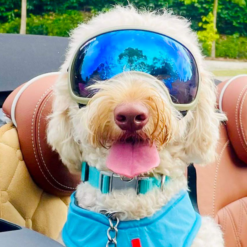 Goggle - testing item 100 variants